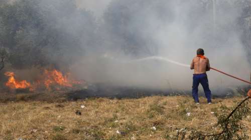 Φωτιά σε δασική περιοχή στο Αηδονοχώρι Σερρών - Δεν απειλούνται σπίτια