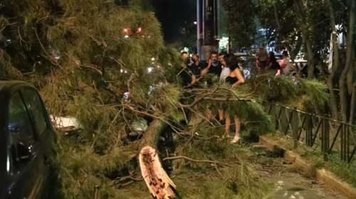 Απίστευτο περιστατικό στο Χαλάνδρι: Τραυματίστηκε πεζός μετά από πτώση δέντρου [εικόνες]