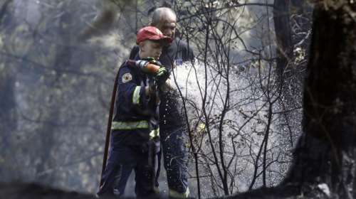 Φωτιά στο Παπίκιο Όρος: Με επίγειες δυνάμεις συνεχίζεται η επιχείρηση κατάσβεσης - Καίει για 16η μέρα