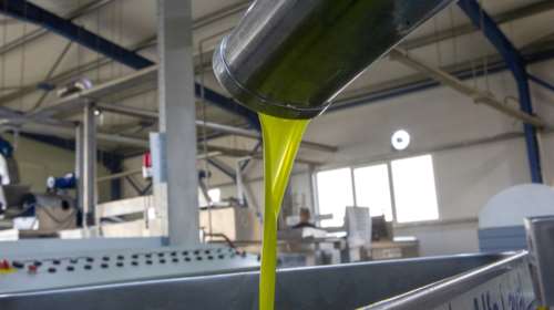 Τα ελαιοτριβεία της φοροδιαφυγής- Έκρυβαν έσοδα πάνω από 80 εκατ. ευρώ