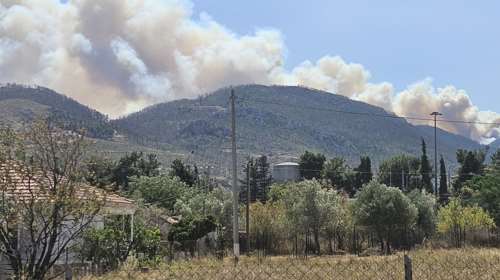 Φωτιά στον Άσσο Κορινθίας