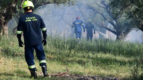 Αμαλιάδα: Φωτιά σε αγροτοδασική έκταση στην περιοχή Αετορράχη - Σηκώθηκε και ελικόπτερο