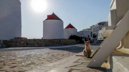 Corriere della Serra: Οι Ιταλοί ονειρεύονται νησιά covid-free- Κάποια ελληνικά νησιά ήδη το πέτυχαν