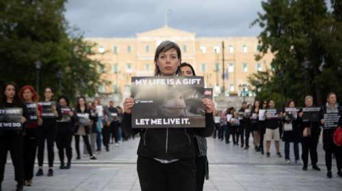 &quot;Τα ζώα νιώθουν πόνο όπως κι εμείς&quot;: Διαμαρτυρία από vegans στο Σύνταγμα για τις σφαγές ζώων [Εικόνες]