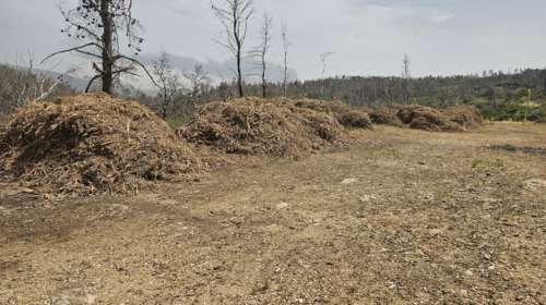 Λήγει στις 30 Απριλίου η προθεσμία για τους καθαρισμούς των οικοπέδων - Τι πρέπει να κάνουν ιδιοκτήτες και ενοικιαστές