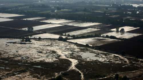 Θεσσαλία: Κατατέθηκε η τροπολογία για τις αποζημιώσεις στους πληγέντες αγρότες - Πότε θα καταβληθούν