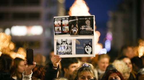 Συγκέντρωση διαμαρτυρίας στο Σύνταγμα για το χάσκι στην Αράχωβα - Ζητούν δικαίωση για τον αδικοχαμένο Όλιβερ [εικόνες]