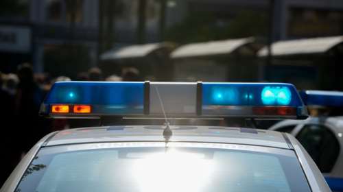 Μεσολόγγι: &quot;Εισαγόμενοι&quot; κλέφτες έρχονταν από Αλβανία, έκλεβαν αγελάδες και ζωοτροφές και τις πουλούσαν στη χώρα τους