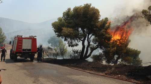 Ρουμανία, Σλοβακία και Πολωνία στέλνουν πεζοπόρα τμήματα και πυροσβεστικά για να βοηθήσουν στις πυρκαγιές
