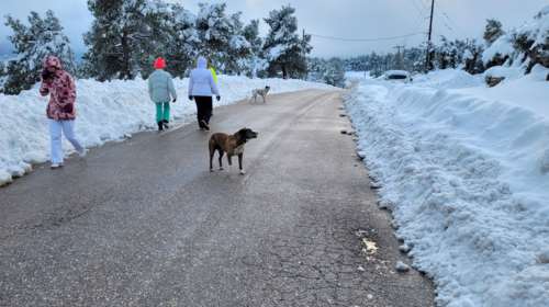 Καιρός: Αρχίζει η κακοκαιρία, πέφτει η θερμοκρασία- Βροχές και θυελλώδεις άνεμοι, σε ποιες περιοχές θα χιονίσει