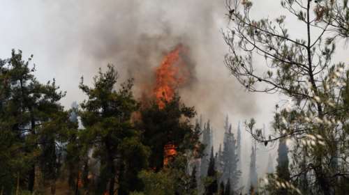 ΓΓΠΠ: Πολύ υψηλός κίνδυνος πυρκαγιάς σήμερα σε 5 περιοχές της χώρας - Δείτε ποιες είναι