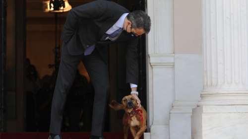 Ανάρτηση Μητσοτάκη για την φροντίδα των ζώων εν μέσω καύσωνα: &quot;Δεν ξεχνάμε τους τετράποδους φίλους μας&quot;