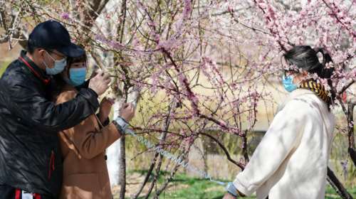 Τα 8+1 μυστήρια του κορονοϊού - Δεν υπάρχει απάντηση από τους ειδικούς