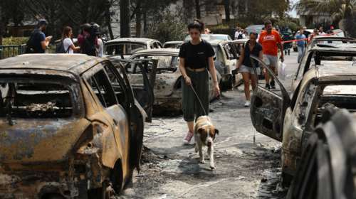 Τραγωδία στο Μάτι: Δύο χρόνια μετά, απολογήθηκε ο άνθρωπος που κατηγορείται για τον εμπρησμό
