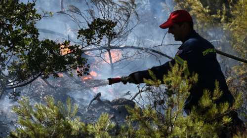 Συναγερμός στη Χαλκιδική: Φωτιά σε δασική έκταση στο Πευκοχώρι κοντά σε σπίτια