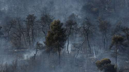 Φωτιά στις Κεχριές: Σε κατάσταση έκτακτης ανάγκης πέντε περιοχές της Κορινθίας [Εικόνες-Βίντεο]