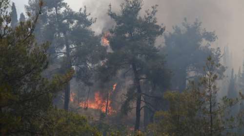 ΓΓΠΠ: Υψηλός κίνδυνος πυρκαγιάς σε 12 περιοχές σήμερα – Δείτε ποιες είναι
