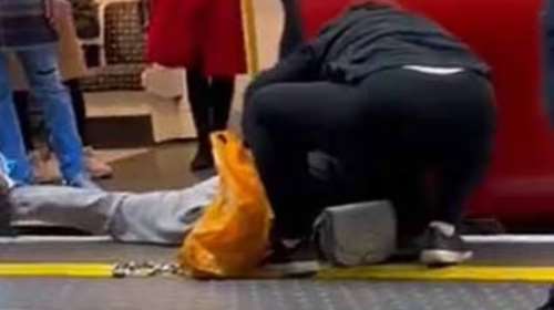 Λονδίνο: Καρέ - καρέ η  διάσωση σκύλου που έπεσε στο κενό μεταξύ συρμού και αποβάθρας [Συγκλονιστικό βίντεο - εικόνες]