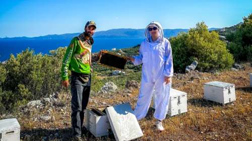 Ο Χρήστος και η Σάντυ εγκατέλειψαν την Αθήνα και φτιάχνουν μέλι στην Εύβοια - Μοιράζονται την αγάπη για τις μέλισσες