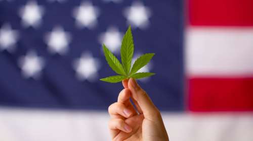 Νέα Υόρκη: Νομιμοποιήθηκε η χρήση κάνναβης για ψυχαγωγικούς σκοπούς