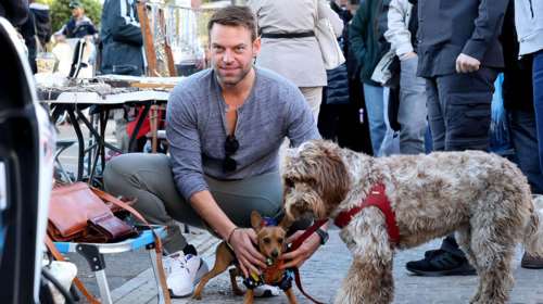 Στέφανος Κασσελάκης: Φωτογραφίες από παλαιότερη πρωινή βόλτα στο Θησείο ντυμένος casual με το σκυλάκι του, Φάρλι