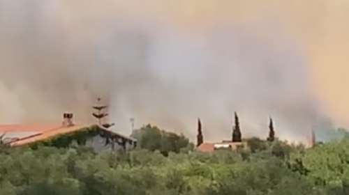 Φωτιά Μεσσηνία: Μάχη με τις φλόγες και τους ισχυρούς ανέμους -  Εκκενώθηκε οικισμός - Κάηκαν εκτάσεις με ελαιόδεντρα