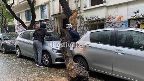 Κακοκαιρία Αριελ: Διακοπές ρεύματος και πτώσεις δέντρων στη Θεσσαλονίκη - Κλειστά σχολεία στην Πιερία [βίντεο]