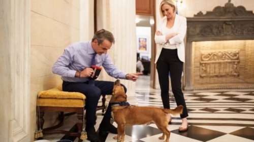 &quot;Τι ωραίος που είσαι&quot;: Τα παιχνίδια Peanut με τον Κυριάκο Μητσοτάκη και η αποθέωση από τη δημοσιογράφο του Bloomberg