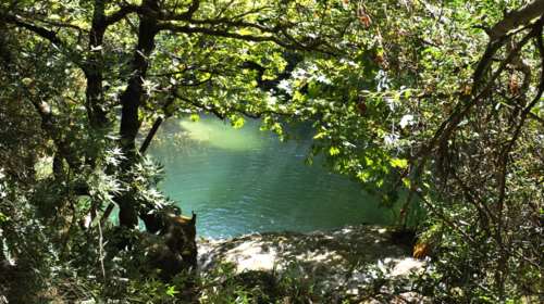 Θάνατος 24χρονης στο Πολυλίμνιο: Ένοχος ο δασάρχης για το δυστύχημα, αθωώθηκε ο διευθυντής δασών