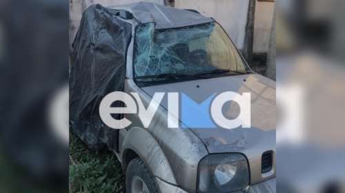 Εύβοια: Οδηγός έπεσε σε κοπάδι αγριογούρουνα και γλίτωσε από θαύμα