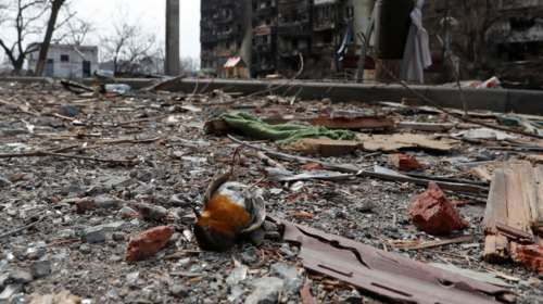 Ουκρανία - Θηριωδία στο χωριό Μοτίζιν: Κατακρεούργησαν και έθαψαν την κοινοτάρχη, τον σύζυγο και τον γιο της