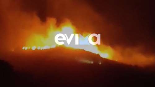 Φωτιά στην Κάρυστο: Μήνυμα του 112 στους κατοίκους των Καλλιανών – &quot;Παραμείνετε σε ετοιμότητα&quot;