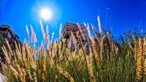 Meteo: Το 2024 είχε και το θερμότερο καλοκαίρι και το θερμότερο χειμώνα στην Ελλάδα - Τα ρεκόρ της χρονιάς που πέρασε