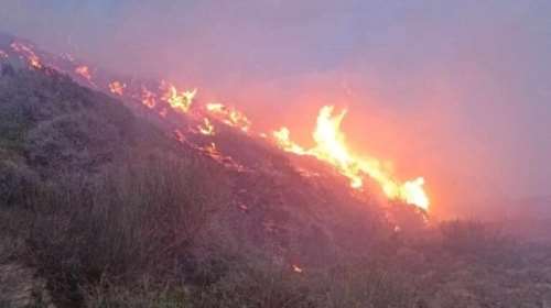 Υπό μερικό έλεγχο η πυρκαγιά στη Σητεία - Ισχυροί άνεμοι στην περιοχή