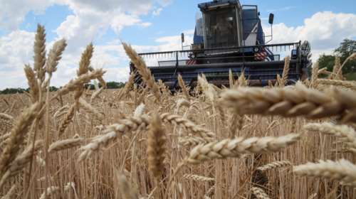 Ουκρανία: Αναχώρησε από την Οδησσό το πρώτο φορτίο με σιτηρά