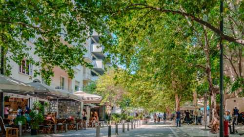 Με ποιες μικρές παρεμβάσεις μπορεί να πάρει η Αθήνα μια ανάσα δροσιάς; - Αρχιτέκτονας εξηγεί