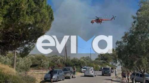 Φωτιά στην Εύβοια:  Συνελήφθη 59χρονος που εκτελούσε εργασίες - Κάηκε επιχείρηση, σοβαρές ζημιές σε αυλές σπιτιών