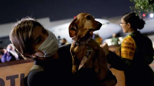 Οι πρόσφυγες από την Ουκρανία δεν ξέχασαν τα κατοικίδιά τους- Οι συγκινητικές εικόνες από το Reuters