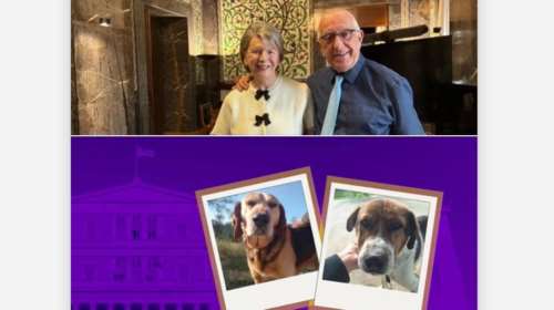 Δύο γέρικα αδέσποτα σκυλάκια βρίσκουν στέγη στη Βουλή - Η ανάρτηση της Ελενας Ακρίτα - Ο ενθουσιασμός του Νικήτα Κακλαμάνη