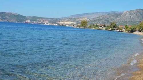 Μαγνησία: Φίδι τσίμπησε 40χρονη ενώ κολυμπούσε σε παραλία της Αγριάς