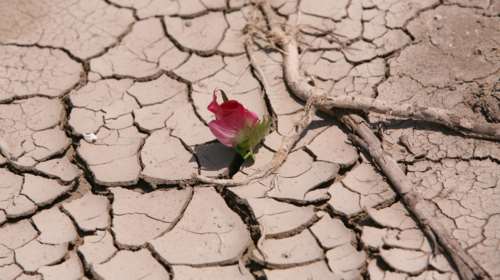 Ο ΟΗΕ εκπέμπει SOS για την κλιματική αλλαγή: Μένουν δύο χρόνια για να σώσουμε τον πλανήτη