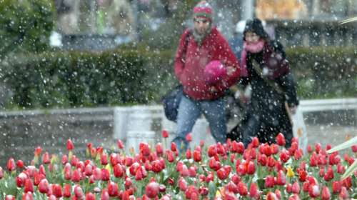 Κακοκαιρία: Έρχεται &quot;καιρικός ζουρλομανδύας&quot;, προειδοποιεί ο Τσατραφύλλιας  - Πότε ξεκινά &quot;σκανδιναβικός χιονιάς&quot;