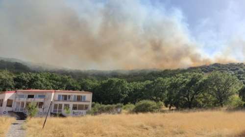 Φωτιά σε δασική έκταση στην Καρδίτσα - Σηκώθηκαν 6 εναέρια