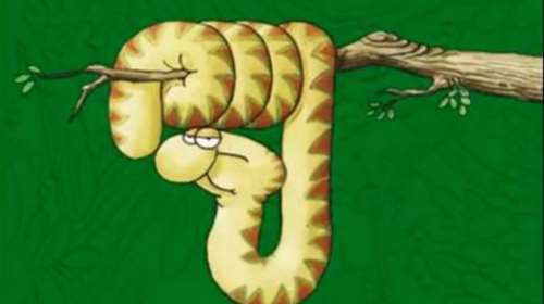 Η &quot;καλημέρα&quot; του Αρκά με το φίδι – ναρκισσιστή [εικόνα]