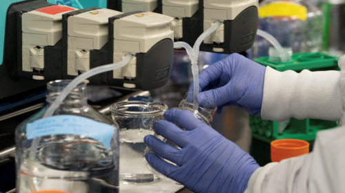 Κοροναϊός : Ποιες ομάδες αίματος διατρέχουν τον μεγαλύτερο και ποιές τον μικρότερο κίνδυνο