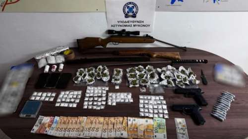 Μύκονος: Η τετράποδη &quot;Κάγια&quot; μύρισε τα ναρκωτικά που θα γέμιζαν το νησί