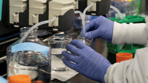 Κορονοϊός: Η διατήρηση των εμβολίων σε ψύξη και κατάψυξη το επόμενο στοίχημα - Τι ανησυχεί τους ειδικούς