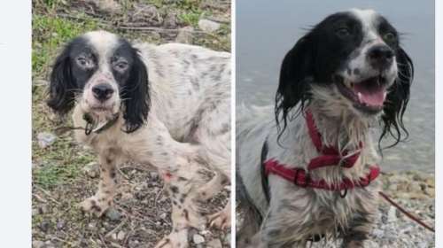 Σε έναν επαρχιακό δρόμο στεκόταν η Φιλιώ και κοιτούσε τα αμάξια που περνούσαν - Άρρωστη, αδύναμη, νηστική και απίστευτα ευάλωτη