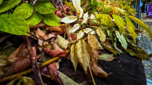 Καιρός: Πέφτει και άλλο η θερμοκρασία σήμερα και ενισχύονται οι θυελλώδεις άνεμοι