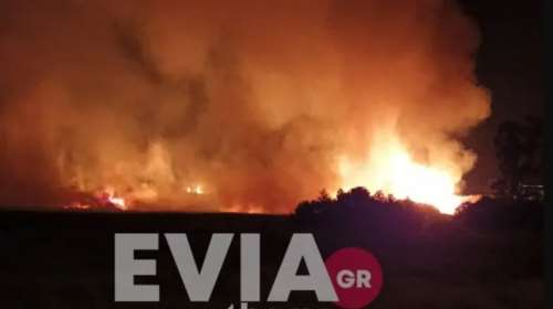 Ψαχνά: Μεγάλη πυρκαγιά ξέσπασε στον Κολοβρέχτη – Ισχυρές δυνάμεις της Πυροσβεστικής και εθελοντές [Βίντεο]